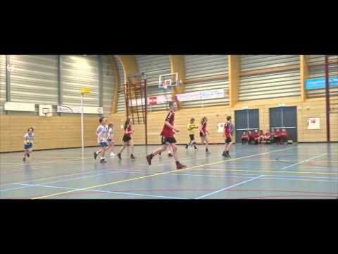 DSC C1  -  Vriendenschaar