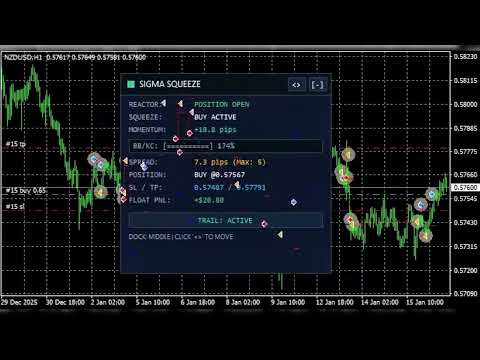 Video Sigma Squeeze Reactor
