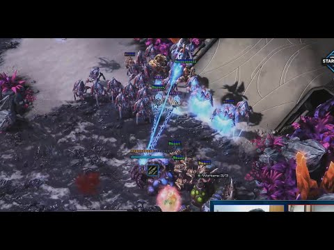 SC2 | Has vs  Rex [PvZ] | DH Masters: Winter  #sc2 #protoss #zerg