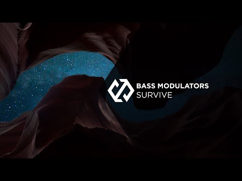 Bass Modulators - Survive (ft. Bram Boender)