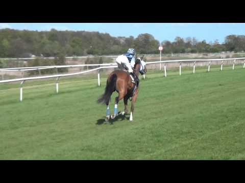 GALOPPSPELAREN _ The Black Balsam cantrar till start 2012-05-05.MTS