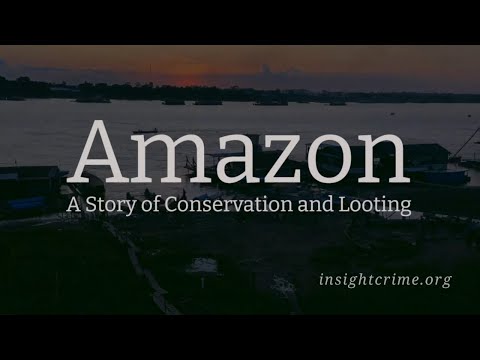 Amazon: A Story of Conservation and Looting