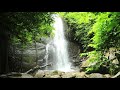 Waterfall Jungle Sounds Relaxing Tropicana