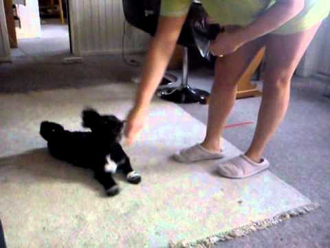 Birger er så dygtig. Og mor er så stolt.