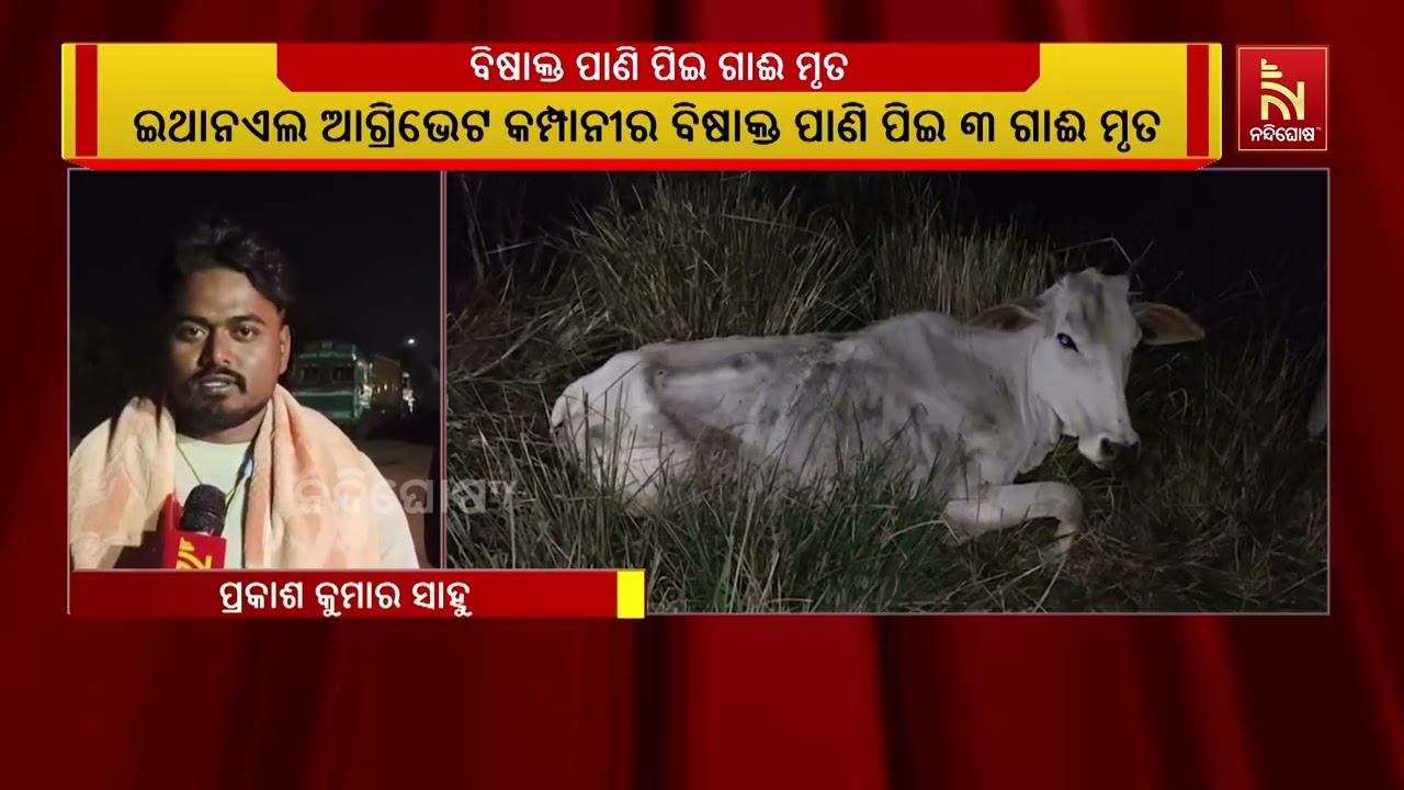 ଇଥାନଏଲ ଆଗ୍ରିଭେଟ କମ୍ପାନୀରୁ ନିର୍ଗତ ବିଷାକ୍ତ ପାଣି ପିଇ ୩ 