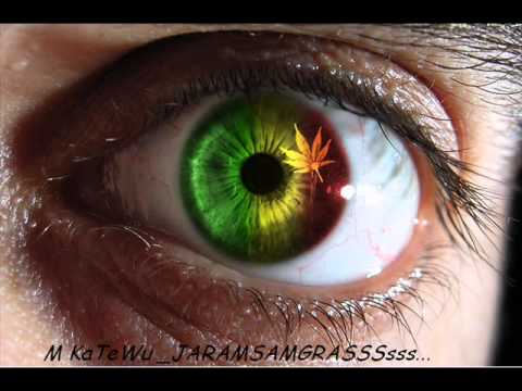 M KaTeWu   Jaramsamgrasss