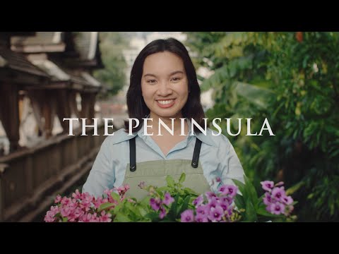 Peninsula Perspectives - Bangkok (English)