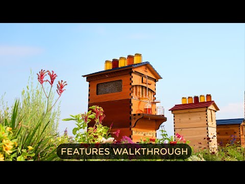 Introducing the Cedar Flow Hive 2 - 7 Frame - Features Walkthrough