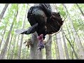 Alabama River Turkey Hunt- April 29th, 2017 Alabama River Turkey Hunt- April 29th, 2017