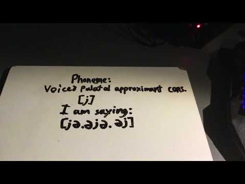 [j] voiced palatal approximant consonant
