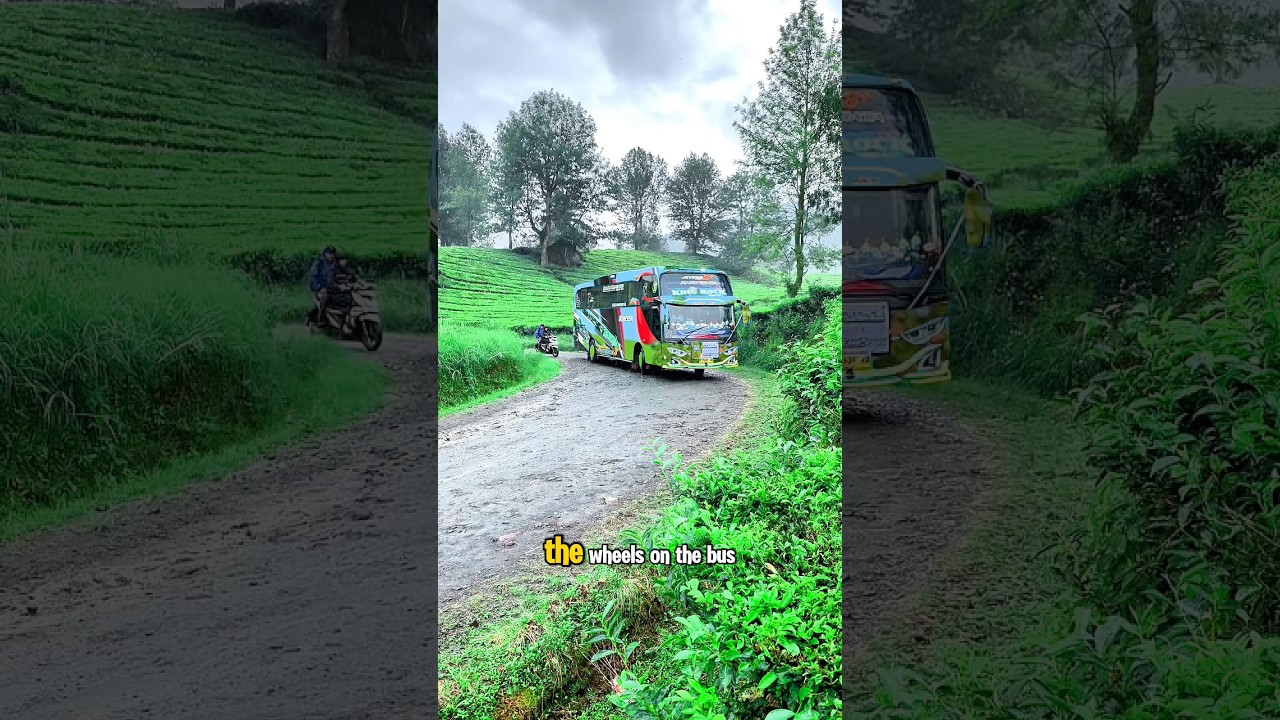 The Wheels On The Bus - Mode Bus Transparan Part 41 #shorts