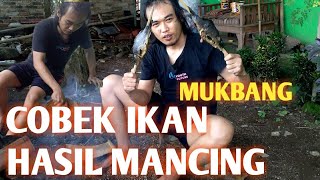 Download lagu Cobek Ikan Hasil Mancing bikin ngiler mp3