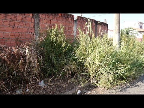 Terreno abandonado incomoda moradores do Jardim Guanabara