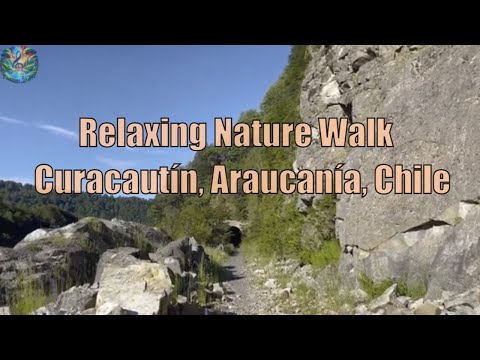 Relaxing Nature Walk | Curacautín, Araucanía, Chile