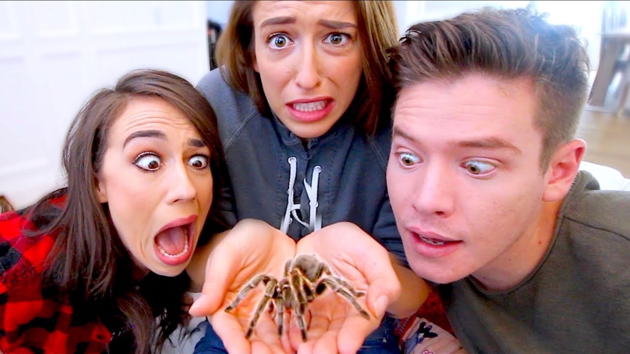 FACING OUR BIGGEST FEARS! SPIDERS AND SNAKES! 😵