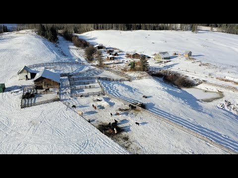 23001 Tatalrose Road - Grassy Plains, BC