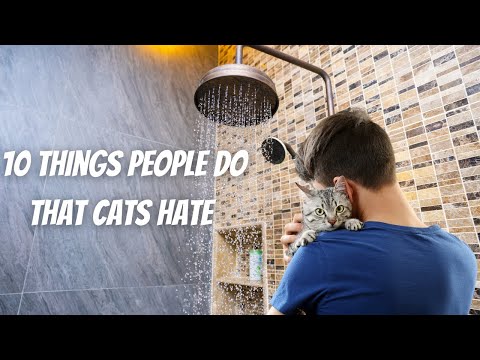 10 Things People Do that Cats Hate