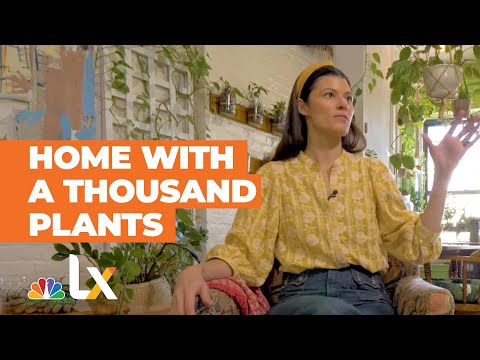This Woman is Growing 1,100 Plants in Her Brooklyn Apartment | NBCLX