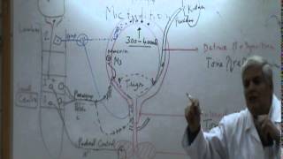 12) Dr.Ibrahim 19/03/2015 [ Micturition ]