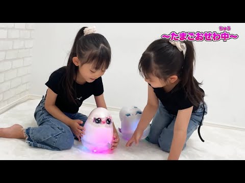 「ウーモ」の仲間がいっぱい！？ゆにみあちゃんがたまごをお世話してウーモ誕生🥚