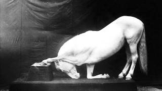 Sally Doherty & Sumacs -- Watching The Horses