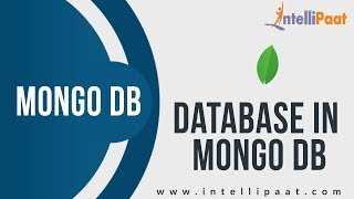 Download the video "Database in Mongo DB | Mongo DB Course Videos | Mongo DB Course | Intellipaat"