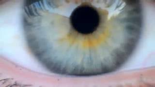 - ABST - Short Film || Mei Villagra.