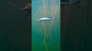 Download lagu Rapala Floating Minnow mp3