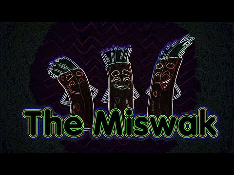 Eye Care Cartoon "The Miswak - Toyor Baby English"