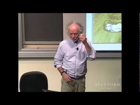 Stanford Webinar When Your Big Data Seems Too Small