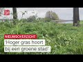 Gemeente Almere gaat minder maaien en minste drugslab in provincie | Dit is Flevoland