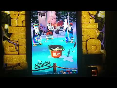 PINGUINOS LOCOS, 100 Euritos...