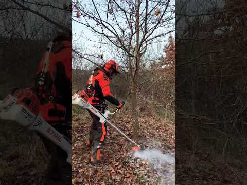 Stihl Fs 561-C with 250-26 woodcut circular saw blade.