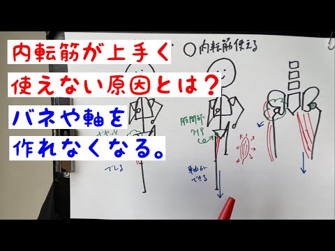 マシンでの足の内転 – やり方とよくある間違い