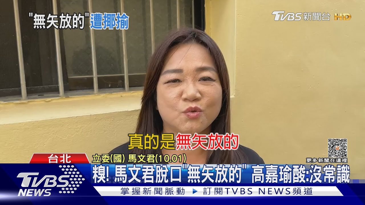 糗！馬文君脫口「無矢放的」　高嘉瑜酸：沒常識