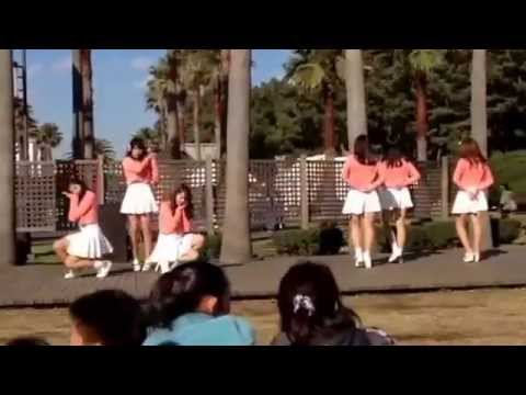 141115 Apink Mr.chu cover dance by:Dolce ／에이핑크 미스터 츄