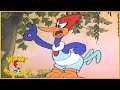 Woody Woodpecker Pantry Panic Full Episodes