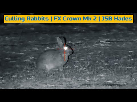 Culling Rabbits | FX Crown Mk 2 | JSB Hades | ATN X-Sight 4K Pro