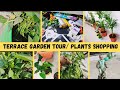 Indian Housewife Daily Routine Vlog Plants Shopping Terrace Garden Tour