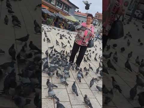 #fadila#medakovo#golub#sarajevo