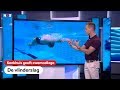De vlinderslag begint bij je romp en je benen | Kenkhuis geeft zwemcollege