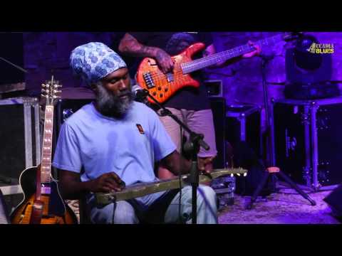 download lagu mp3 mp4 Corey Harris Band, download lagu Corey Harris Band gratis, unduh video klip Corey Harris Band