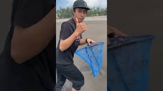 Download lagu Looking for sea antlers in the sand #pets #fish #riedwanrichie mp3