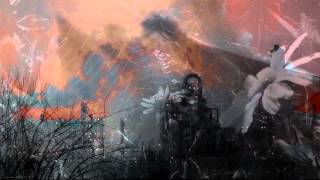 Sarah Fimm - Adaquarium Diaries (Chapter I)