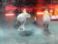 Ringling Brothers Circus