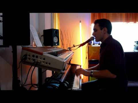 Demi Lovato - skyscraper (piano/vocal/chant) COVER