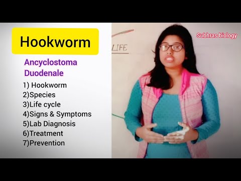 ankilostomiasis aki a kórokozó