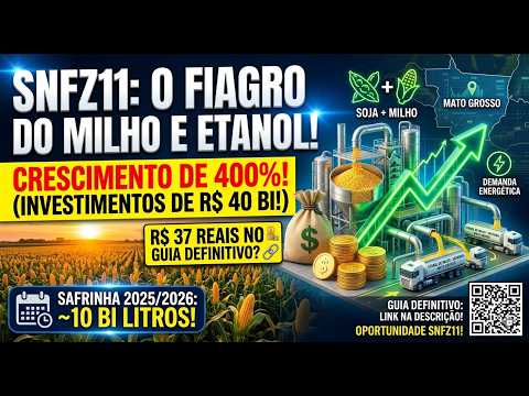 Etanol de milho impulsiona Mato Grosso e fortalece a tese do SNFZ11 — entenda a expansão