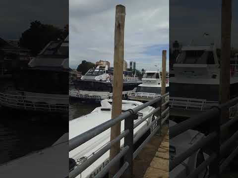 Puerto de Tigre, prov. de Buenos Aires, Argentina, 4/2026