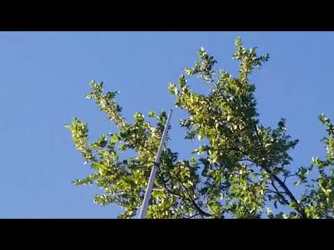 Trying to tune a Maco V-5000 Verticle HF antenna.